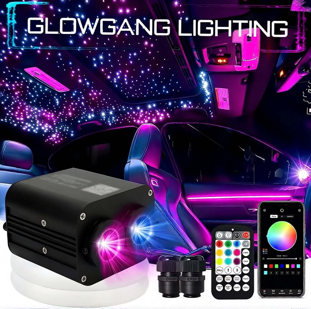 20W DUAL COLOR ZONE TWINKLE STARLIGHT HEADLINER KIT
